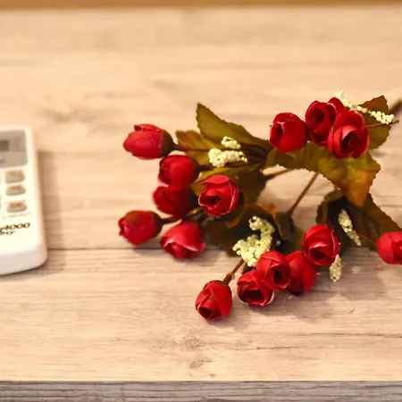 Pretty Loft Appartamento